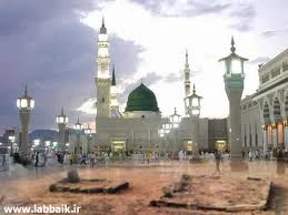 السلام علیک یا امام الرئوف! 8