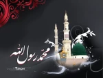 السلام علیک یا امام الرئوف! 12