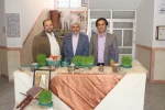 برپایی 