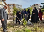 مراسم درختکاری در آموزشکده فنی و حرفه ای دختران بابل 

 4